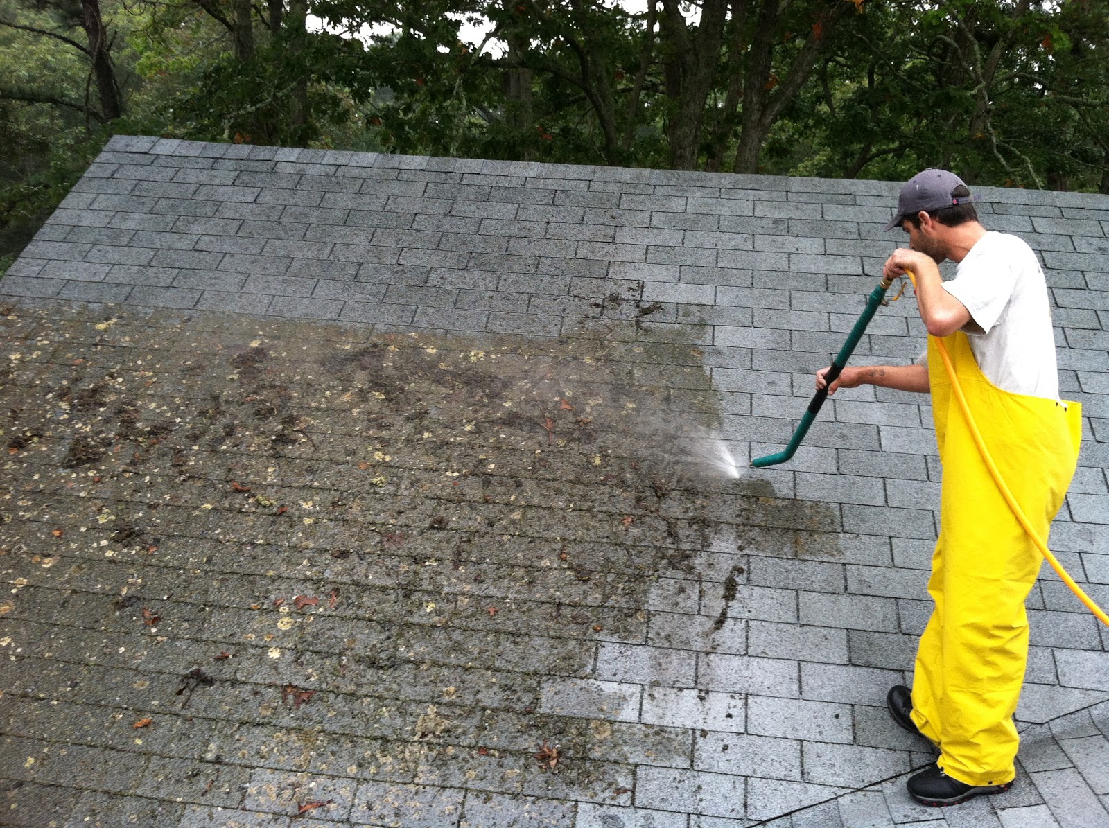 Roof Cleaning in Hampton VA